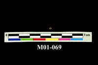 藏品(金剛石)的圖片